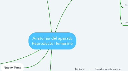 Mind Map: Anatomía del aparato Reproductor femenino
