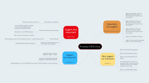 Mind Map: Priorities CVCE Clinic