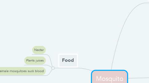 Mind Map: Mosquito