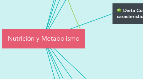 Mind Map: Nutrición y Metabolismo