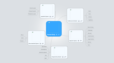 Mind Map: Human Body