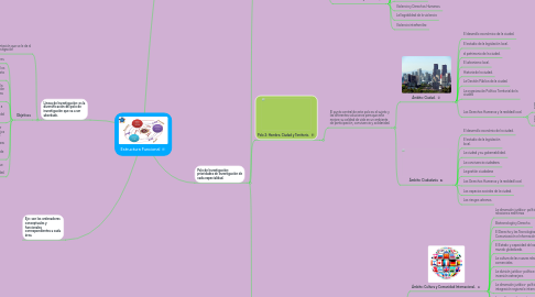 Mind Map: Estructura Funcional