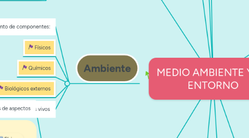 Mind Map: MEDIO AMBIENTE Y SU ENTORNO