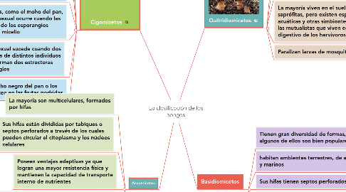 Mind Map: La clasificación de los hongos