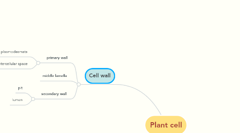 Mind Map: Plant cell