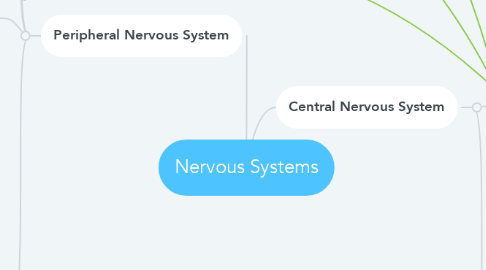 Mind Map: Nervous Systems