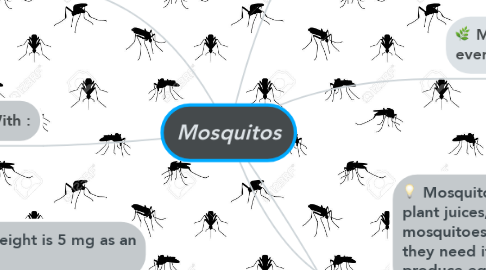 Mind Map: Mosquitos