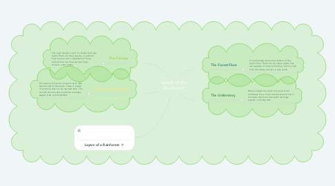 Mind Map: Levels of the Rainforest