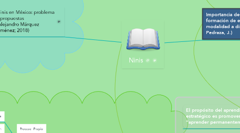 Mind Map: Ninis