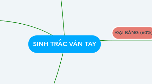 Mind Map: SINH TRẮC VÂN TAY