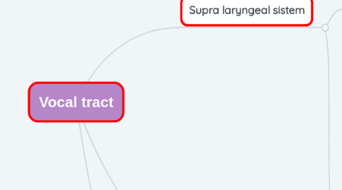 Mind Map: Vocal tract
