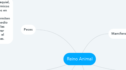 Mind Map: Reino Animal