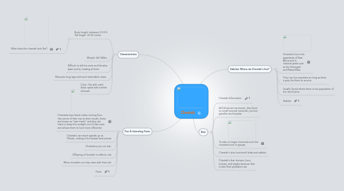 Mind Map: Cheetah