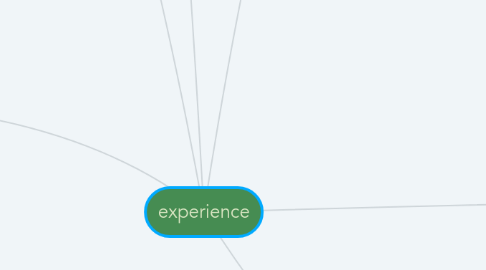 Mind Map: experience