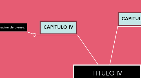 Mind Map: TITULO IV PERSONAS FISICAS