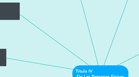 Mind Map: Titulo IV                          De Las Personas Fisicas