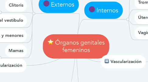 Mind Map: Órganos genitales femeninos