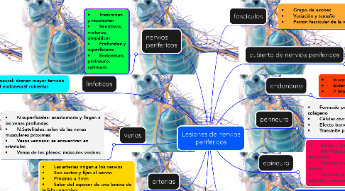 Mind Map: Lesiones de nervios periféricos