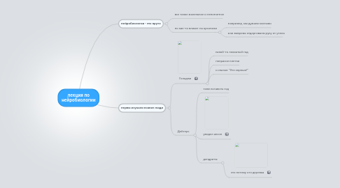 Mind Map: лекция по нейробиологии