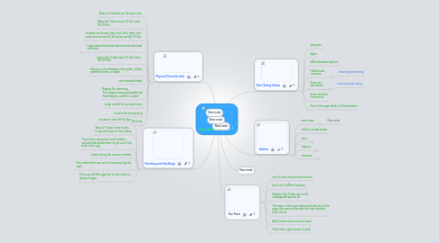 Mind Map: Sea Turtles