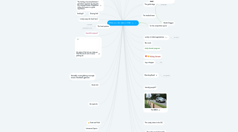 Mind Map: What you like about UGA