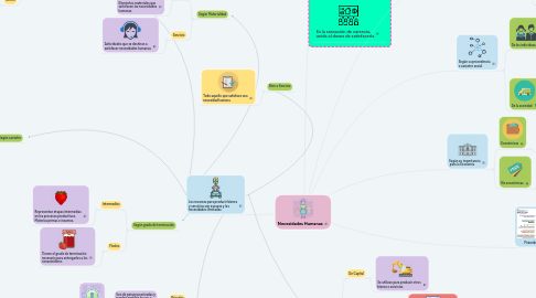 Mind Map: Necesidades Humanas