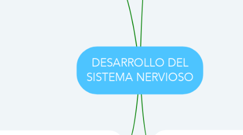 Mind Map: DESARROLLO DEL SISTEMA NERVIOSO