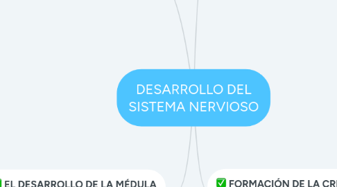 Mind Map: DESARROLLO DEL SISTEMA NERVIOSO