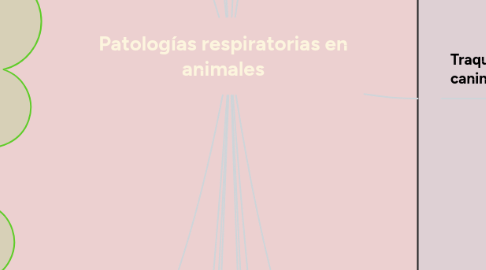 Mind Map: Patologías respiratorias en animales