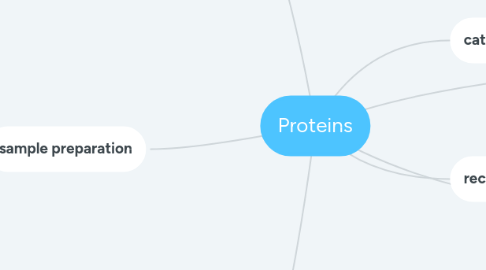 Mind Map: Proteins