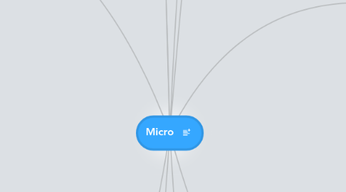 Mind Map: Micro