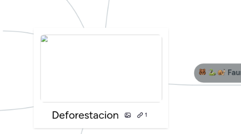 Mind Map: Deforestacion