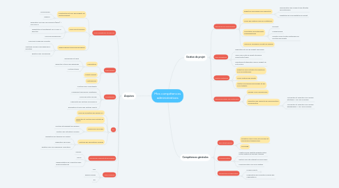 Mind Map: Mes compétences administratives