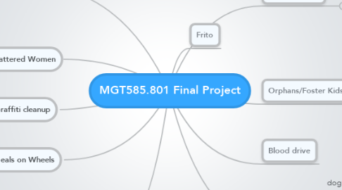 Mind Map: MGT585.801 Final Project