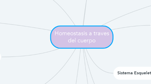 Mind Map: Homeostasis a traves del cuerpo