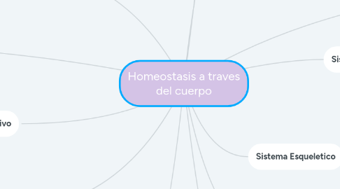 Mind Map: Homeostasis a traves del cuerpo