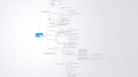 Mind Map: Faire Play