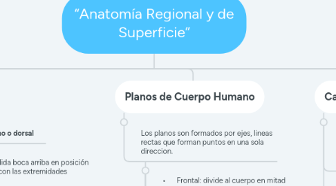 Mind Map: “Anatomía Regional y de Superficie”