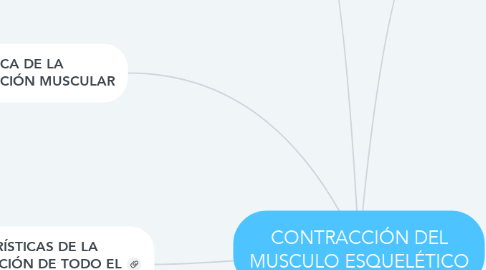 Mind Map: CONTRACCIÓN DEL MUSCULO ESQUELÉTICO