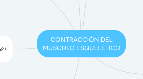 Mind Map: CONTRACCIÓN DEL MUSCULO ESQUELÉTICO