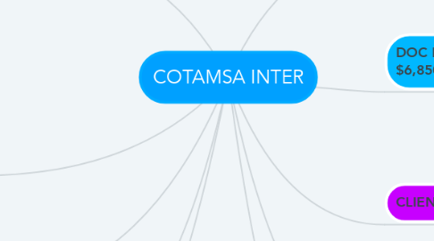 Mind Map: COTAMSA INTER