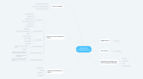 Mind Map: PROCESOS COGNOSCITIVOS