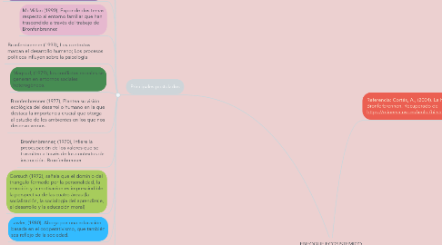 Mind Map: ENFOQUE ECOSISTEMICO