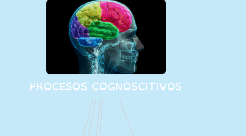 Mind Map: PROCESOS COGNOSCITIVOS