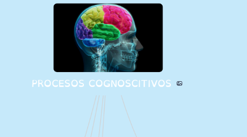 Mind Map: PROCESOS COGNOSCITIVOS