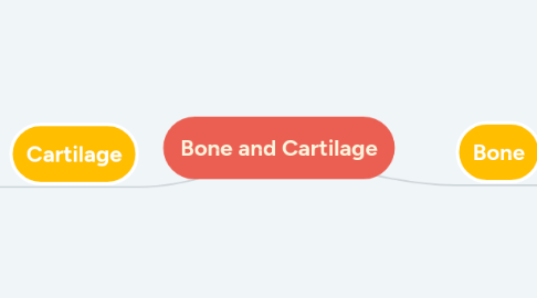 Mind Map: Bone and Cartilage