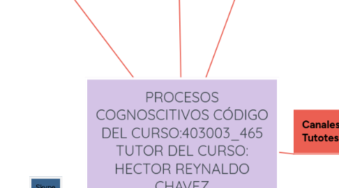 Mind Map: PROCESOS COGNOSCITIVOS CÓDIGO DEL CURSO:403003_465 TUTOR DEL CURSO: HECTOR REYNALDO CHAVEZ