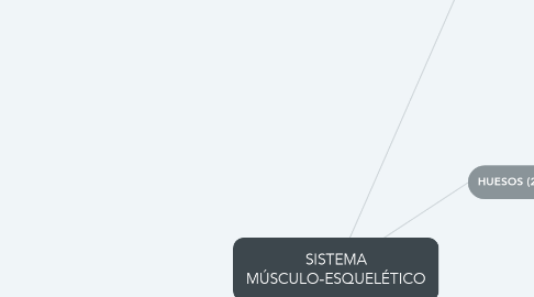Mind Map: SISTEMA MÚSCULO-ESQUELÉTICO