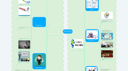 Mind Map: AGRUPACIONES PROFESIONALES