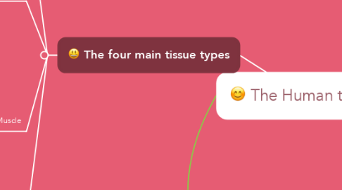 Mind Map: The Human tissue